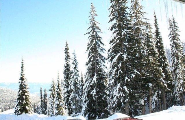 Schweitzer Mountain True Ski en Ski Out Condo