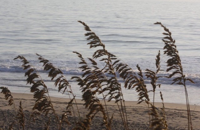 Sea Breezes North - ¡A solo unos pasos de la playa!