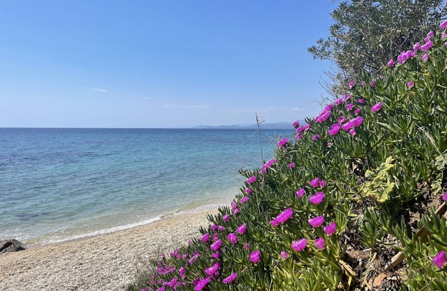 Apartamento Anastasia Vista Mar