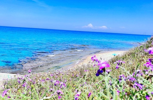 Sea View House 4, Panorama, Nature, Sun, Peace