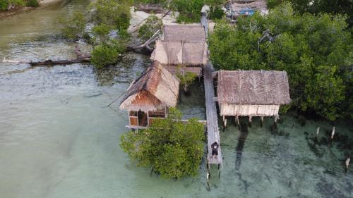Sea Whip Raja Ampat
