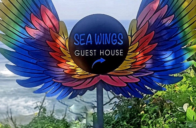 Sea Wings