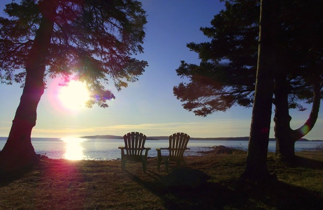 Searenity Cottage Maine Oceanfront Secluded Waterfront Beach House Getaway
