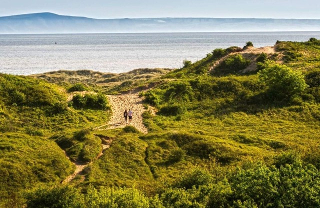 Bungalow junto al mar con vistas a las dunas
