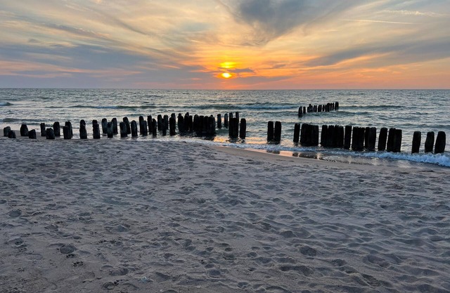 Seaside Escape Pet Friendly by Renters