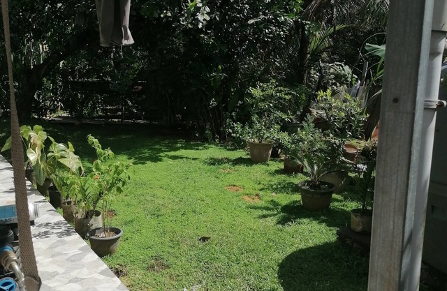 SEASONAL RENTAL