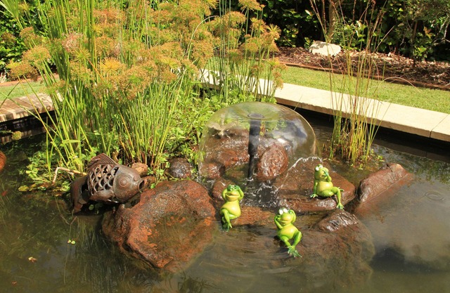 Seasons of Maleny B&B