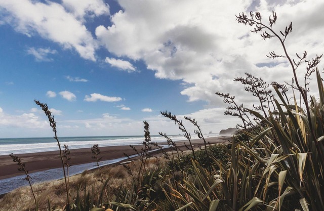 SEAVIEWS ON SHEARER OAKURA