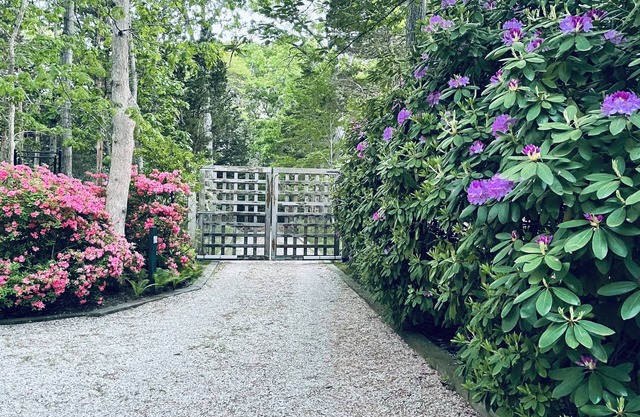 Casa aislada del artista y del arquitecto con el jardín mágico, mediados de siglo moderno