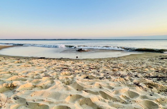 Secluded by the Sea