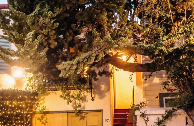 Secluded Courtyard Studio with Kitchen & Private Entrance