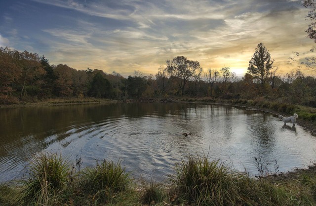 Secluded Estate Sleeps 8 with 1 acre fishing pond