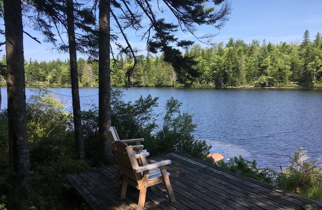 Aislada, fuera de la red, Dog-friendly Cabina en Pristine Lago