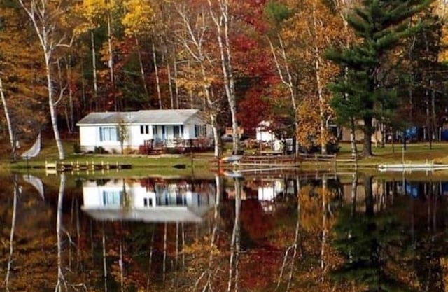Secluded lakeside Cottage in the heart of National Forest- down UP back roads.