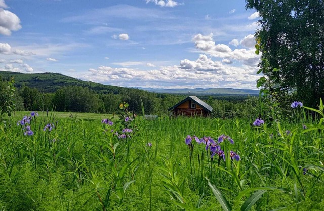 Secluded Log Cabin, 30 min from Chena Hot Springs