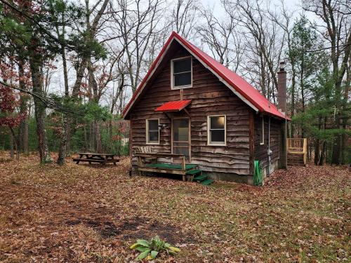 Secluded Luxury Cabin with Hot Tub on 10 Private Acres near Trails in Reed City, Michigan