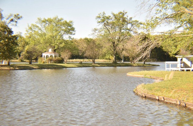 Secluded Modest Cabin on Beautiful and Stocked Fishing Lake