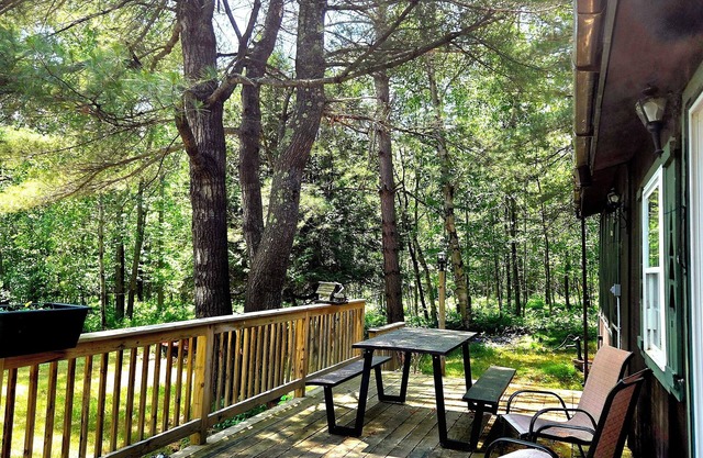 Secluded & quiet, close to town. Stone fireplace inside & a firepit out back