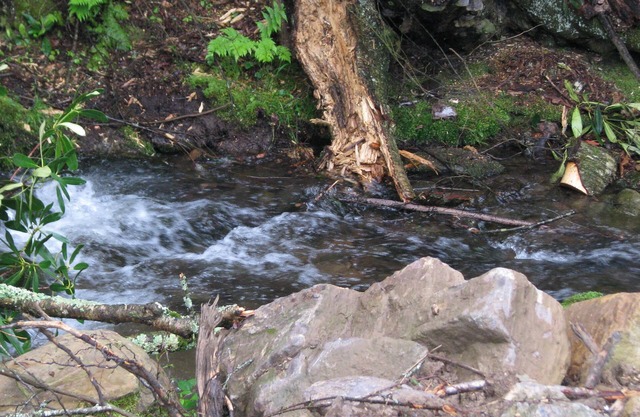 Aislado con negrita creek a 4000 elevación