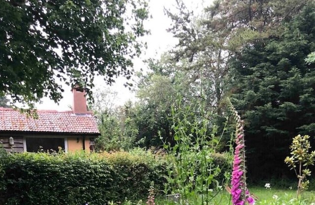 Seclusion by a Riverside Garden on Two Moors Way