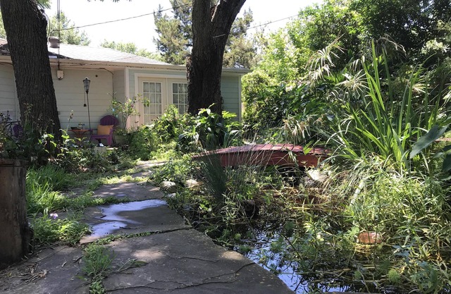 Secret Garden-Near Downtown Houston-Entrada privada
