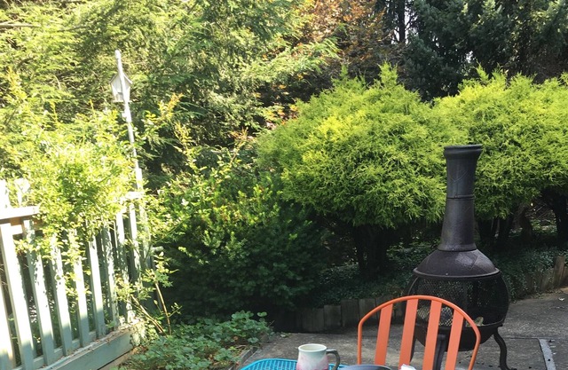 SecretGardenGetaway: Asheville; Great Smokey Mtns