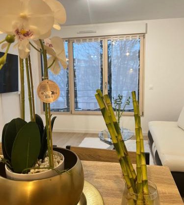 Seemingly Spacious Modern & Bright Chic Paris