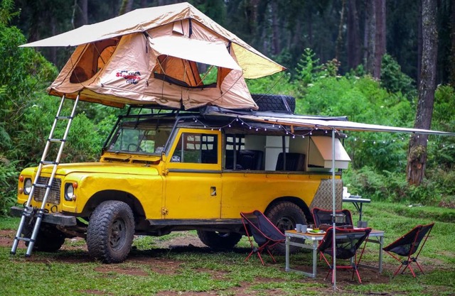 seleb camp adventure