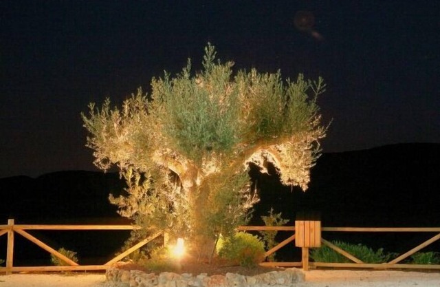Casa rural (alquiler íntegro) Sol de Taberno para 6 personas