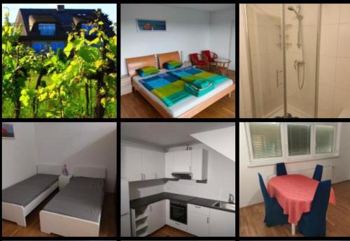 Self Check-in Self Catering Familien Apartment mit Seeblick und Klimaanlage - Neusiedlersee