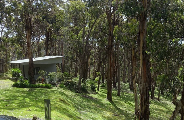 Self-contained 1br unit on 11 acres of beautiful natural bush with ocean views.