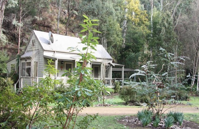 Shadybrook gardens Alpine Cottage 1 habitación No 2