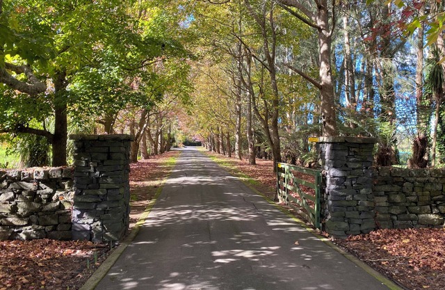 Self-contained country Lodge in Kumeū, New Zealand
