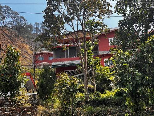 Selfie Roll Guest House