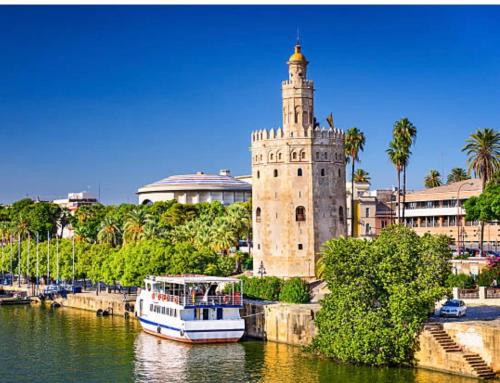 Selva House Sevilla