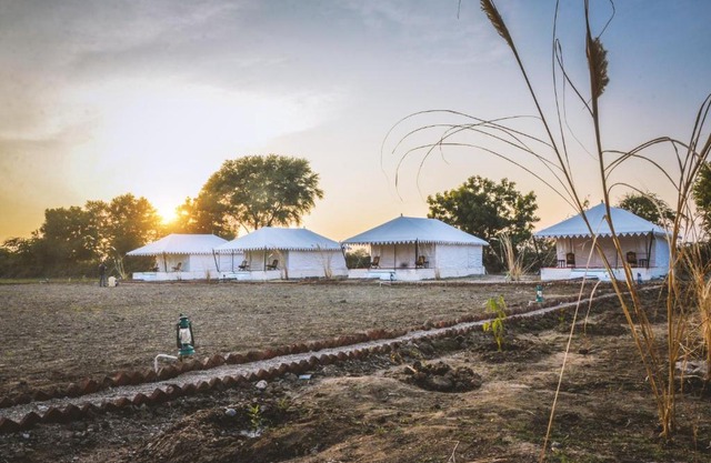 Sena Safari Camp