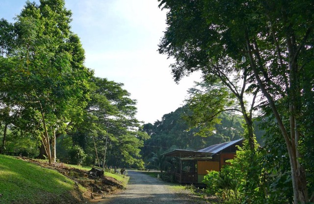 Sepilok B&B