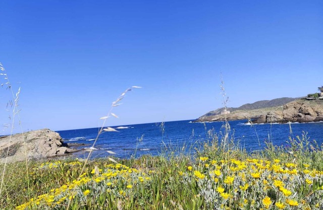 Apartament amb àmplia terrassa davant del mar per veure sortir el sol cada matí.
