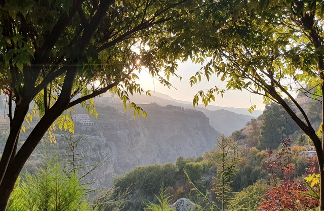SEQUOIA GUESTHOUSE (Chalet privado)