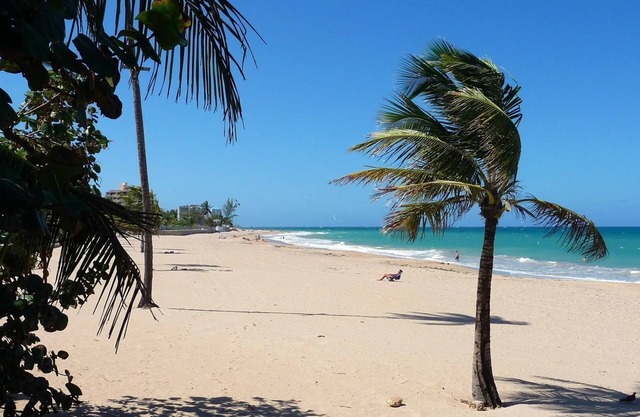 Serena Baja