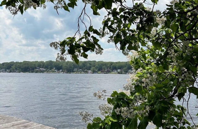 Serendipity on Highland Lake