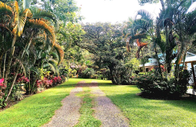 Serene 1-bedroom cabin in El Valle de Anton