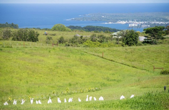 Serena Villa Ecologica a 15 minutos de Hilo