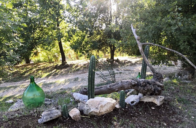 Serenella apartamento en la naturaleza entre mar y montaña