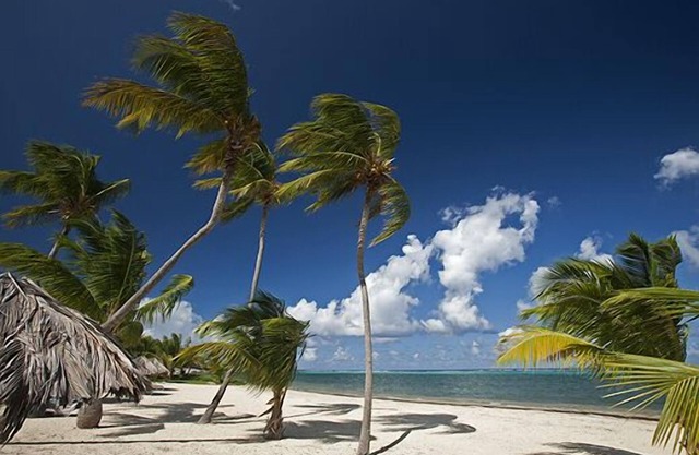 Serenity by the Sea, beautiful condo sleeps up to 4!