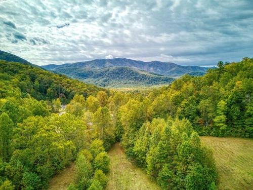 Serenity Cottage, Pickleball Court, Creek, WIFI, Mountain Views, Starting at 79"