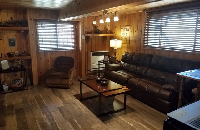 Serenidad en las copas de los árboles