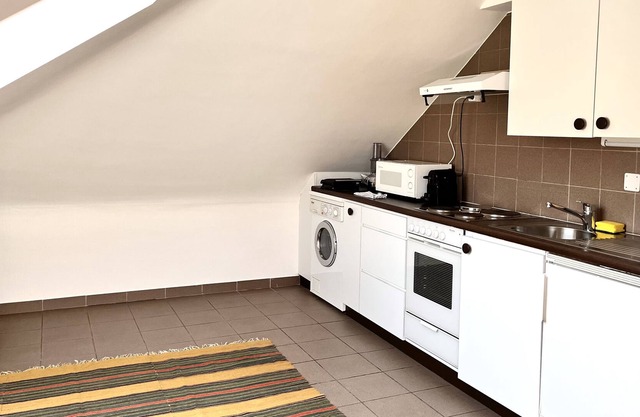 Service Loft in Central Geneva