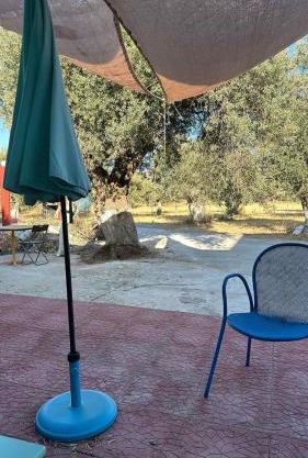 Seven stars Camping Evelina