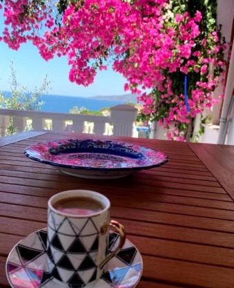 Sevinc Papatya House